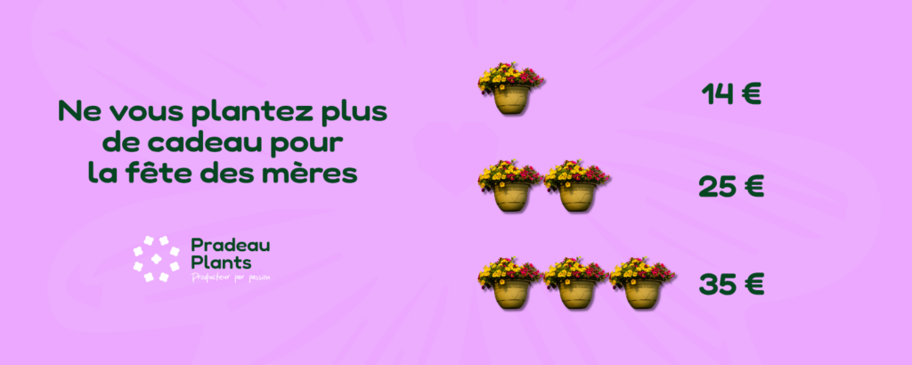 Offre fête des mères Pradeau Plants